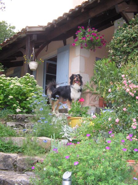 Elle m'attend en haut de l'escalier.