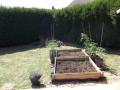 DSCF2924 webaprèsR4