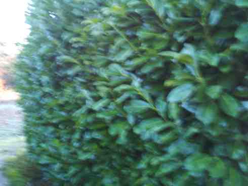 Photo 001 web