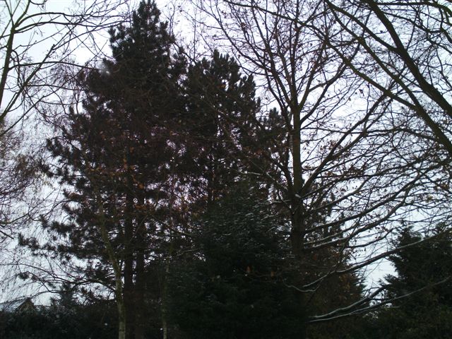 PICT0445
