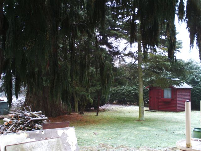PICT0461