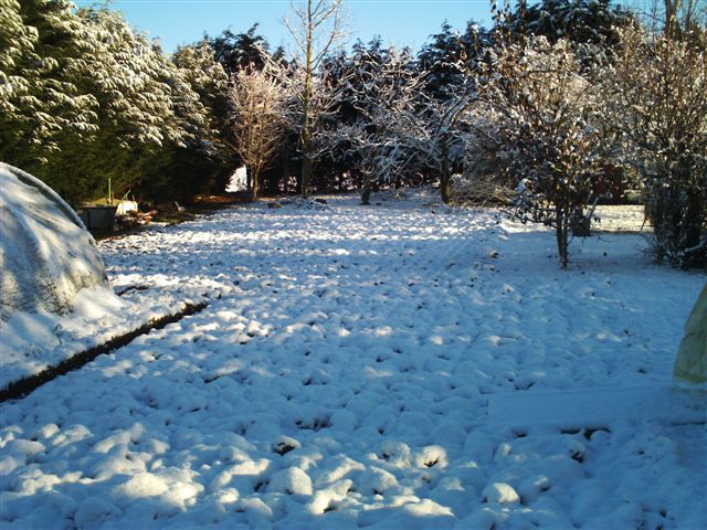 PICT0494