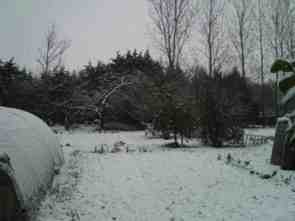 Vu Arrière le jardin