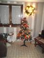 DSCF3431 webNoël