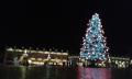 Nancy décembre 2016 013